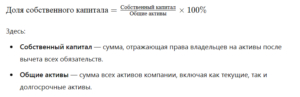 Оценка доли собственного капитала в общей структуре активов